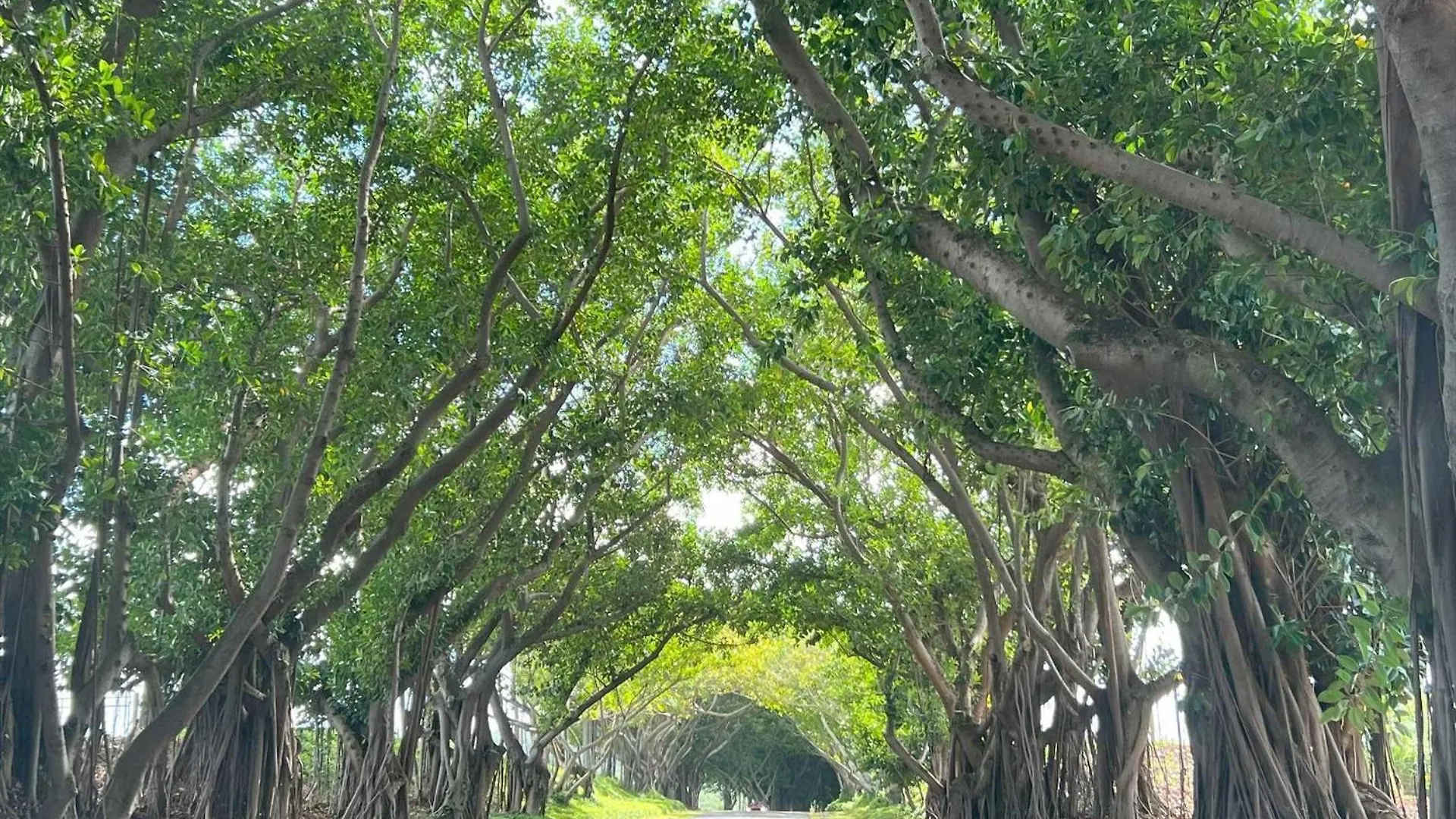 Kauai Beach Villas E16 Lihue 0*,  Ηνωμένες Πολιτείες της Αμερικής