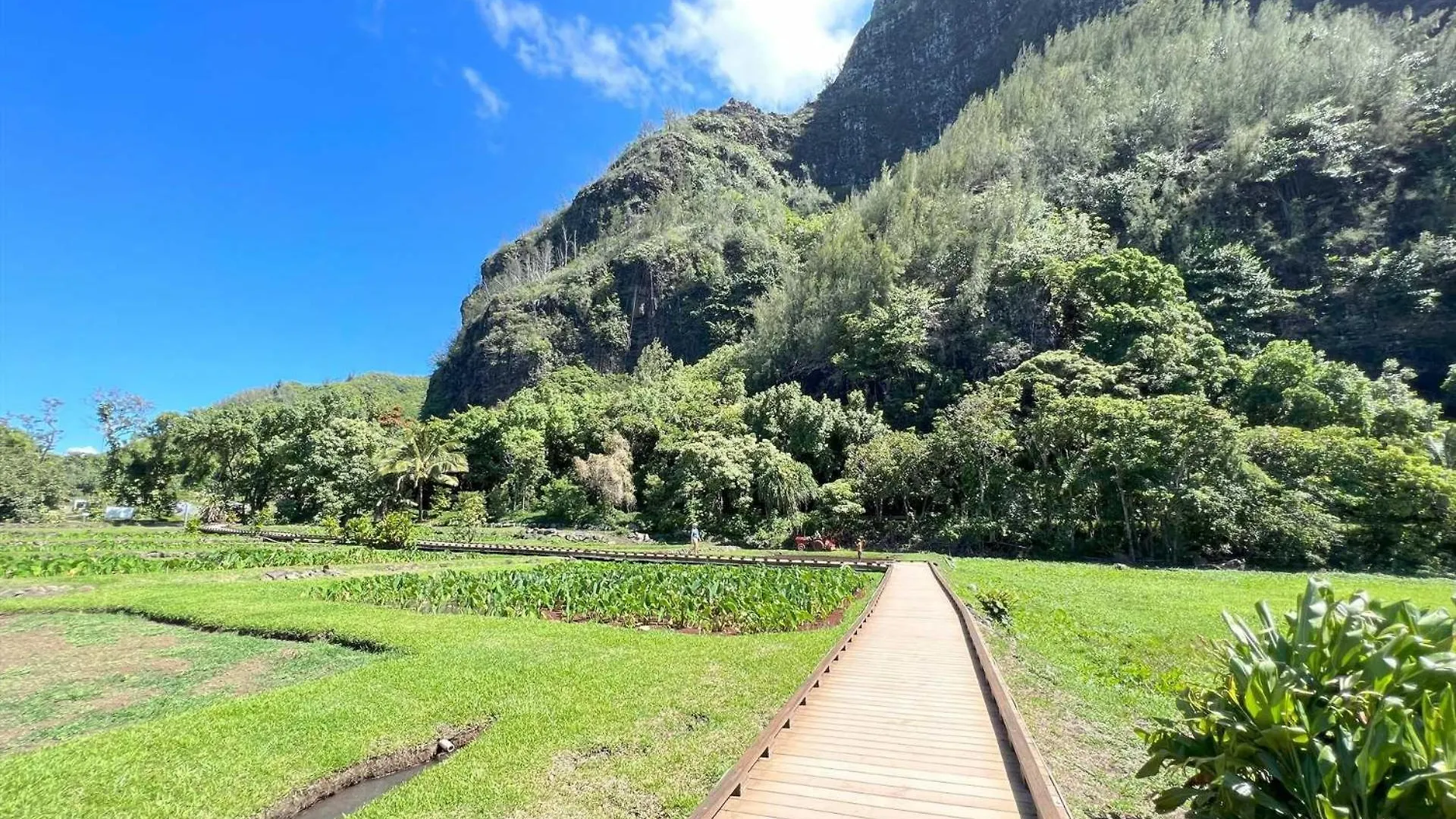 Kauai Beach Villas E16 Lihue